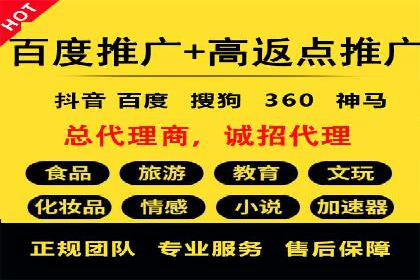 某电商平台的SEM推广策略及效果分析